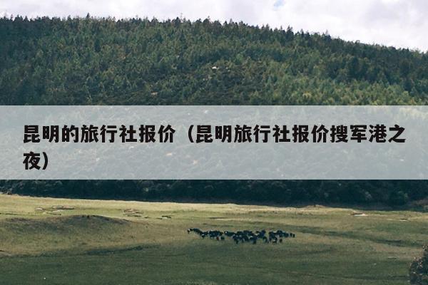 昆明的旅行社报价（昆明旅行社报价搜军港之夜）