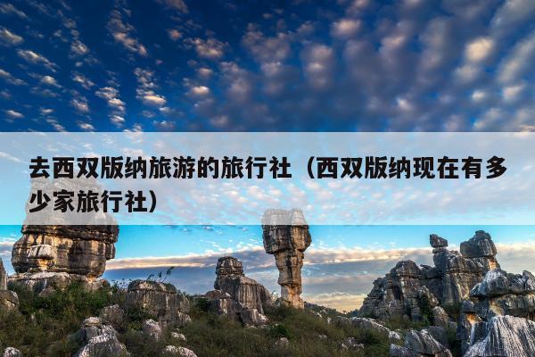 去西双版纳旅游的旅行社（西双版纳现在有多少家旅行社）