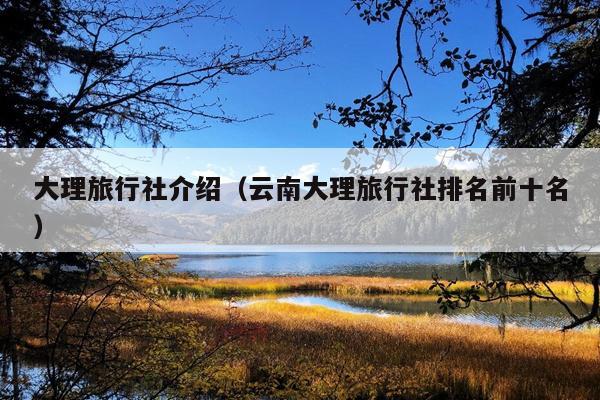 大理旅行社介绍（云南大理旅行社排名前十名）