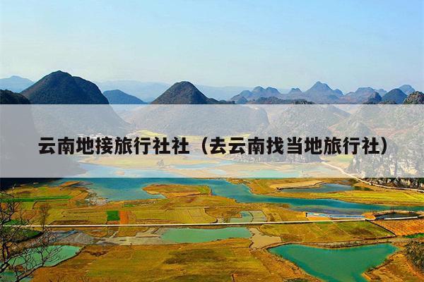 云南地接旅行社社（去云南找当地旅行社）