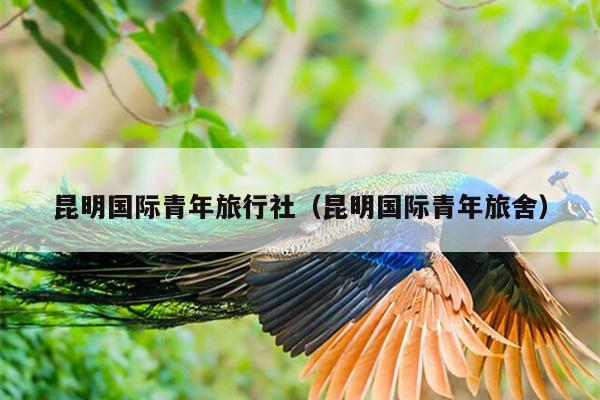 昆明国际青年旅行社（昆明国际青年旅舍）