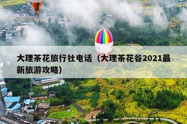 大理茶花旅行社电话（大理茶花谷2021最新旅游攻略）