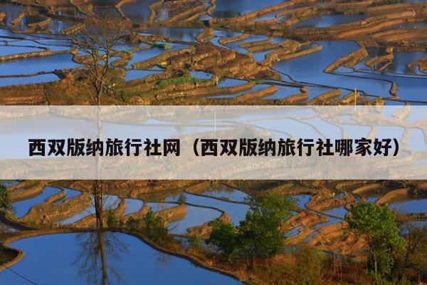 西双版纳旅行社网（西双版纳旅行社哪家好）
