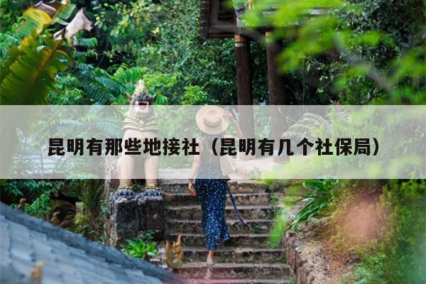 昆明有那些地接社（昆明有几个社保局）