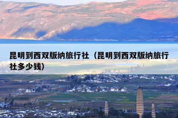 昆明到西双版纳旅行社（昆明到西双版纳旅行社多少钱）