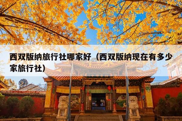西双版纳旅行社哪家好（西双版纳现在有多少家旅行社）