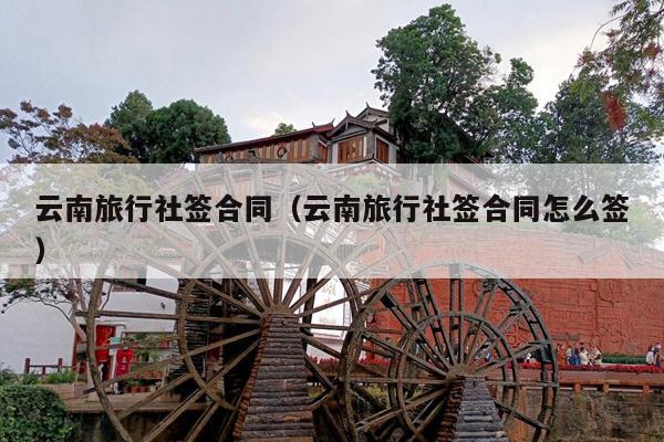 云南旅行社签合同（云南旅行社签合同怎么签）
