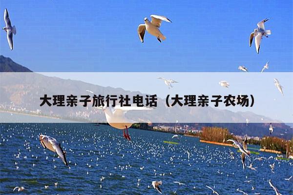 大理亲子旅行社电话（大理亲子农场）