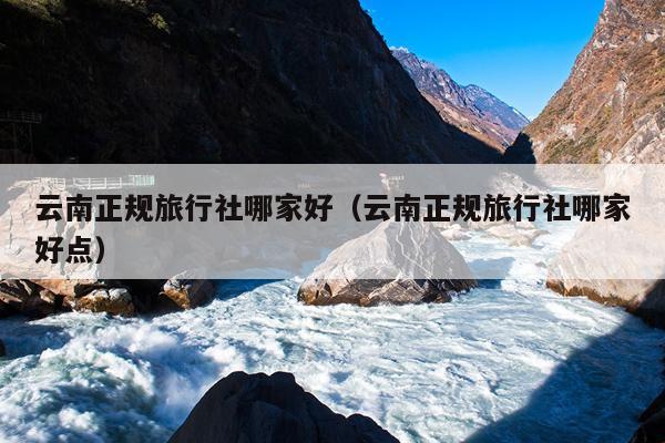 云南正规旅行社哪家好（云南正规旅行社哪家好点）