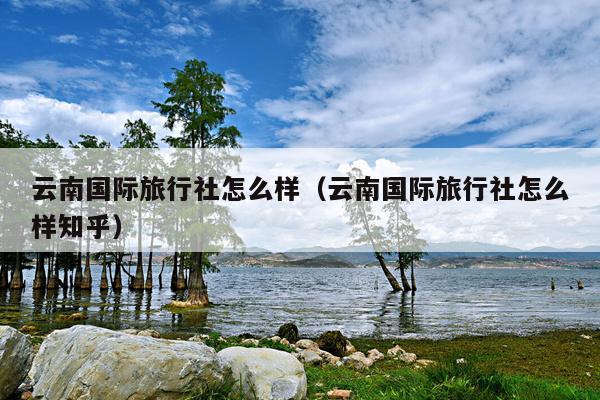 云南国际旅行社怎么样（云南国际旅行社怎么样知乎）