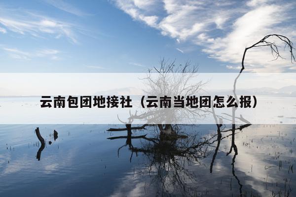 云南包团地接社（云南当地团怎么报）