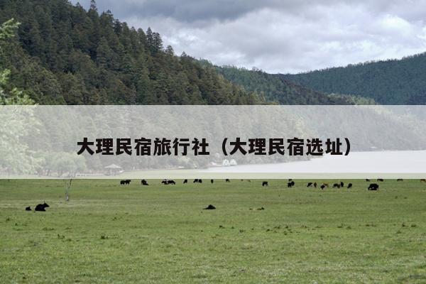 大理民宿旅行社（大理民宿选址）