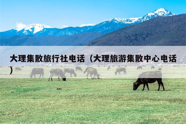 大理集散旅行社电话（大理旅游集散中心电话）