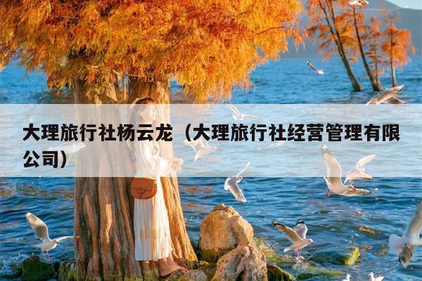 大理旅行社杨云龙（大理旅行社经营管理有限公司）