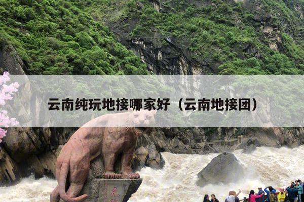 云南纯玩地接哪家好（云南地接团）