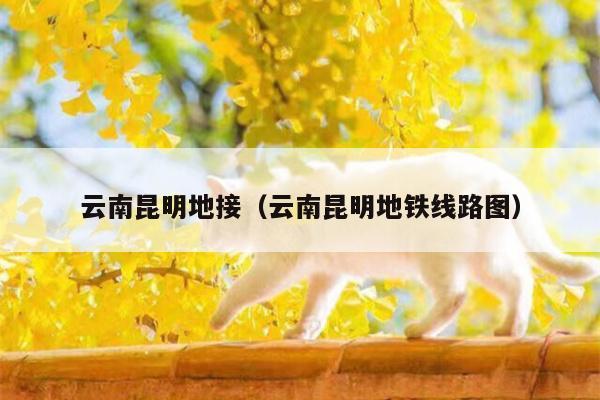 云南昆明地接（云南昆明地铁线路图）