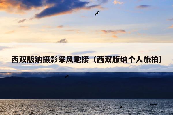 西双版纳摄影采风地接（西双版纳个人旅拍）