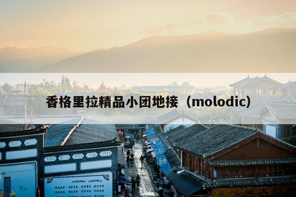 香格里拉精品小团地接（molodic）