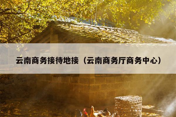 云南商务接待地接(云南商务厅商务中心)