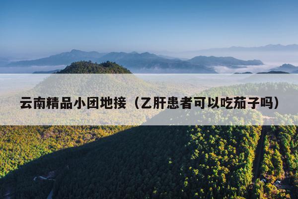 云南精品小团地接(乙肝患者可以吃茄子吗)