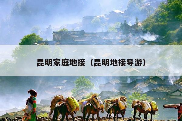 昆明家庭地接（昆明地接导游）