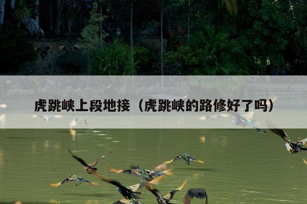 虎跳峡上段地接（虎跳峡的路修好了吗）