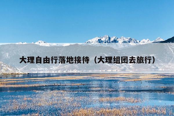 大理自由行落地接待（大理组团去旅行）