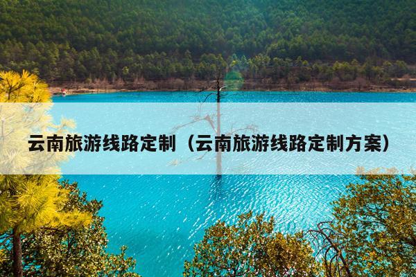 云南旅游线路定制（云南旅游线路定制方案）