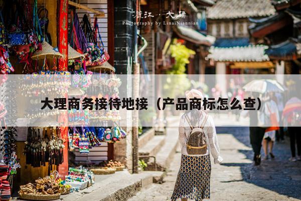 大理商务接待地接（产品商标怎么查）