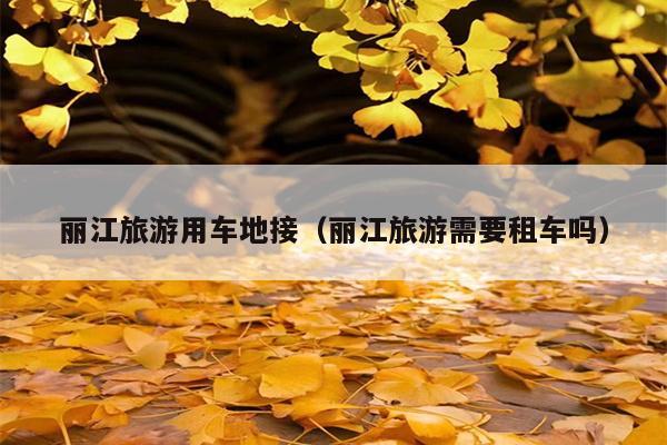 丽江旅游用车地接（丽江旅游需要租车吗）
