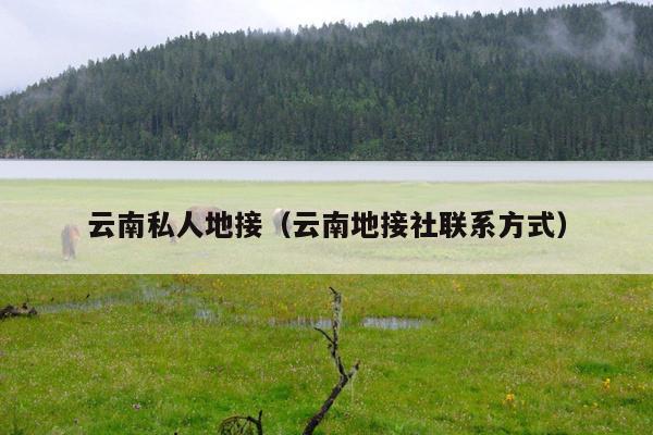 云南私人地接（云南地接社联系方式）