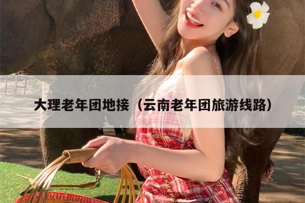 大理老年团地接（云南老年团旅游线路）